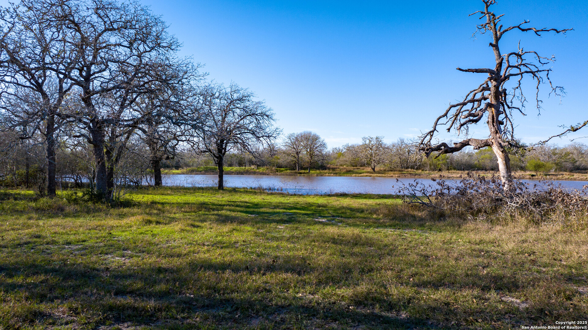 Karnes County | 175+/- Acres