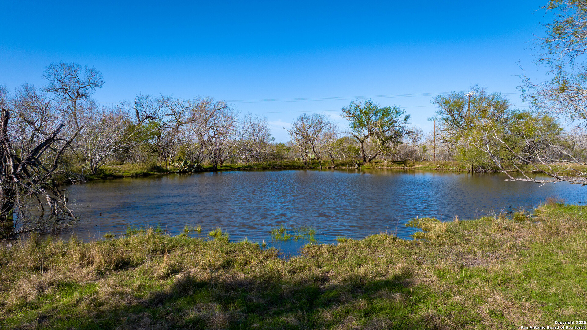 Karnes County | 175+/- Acres