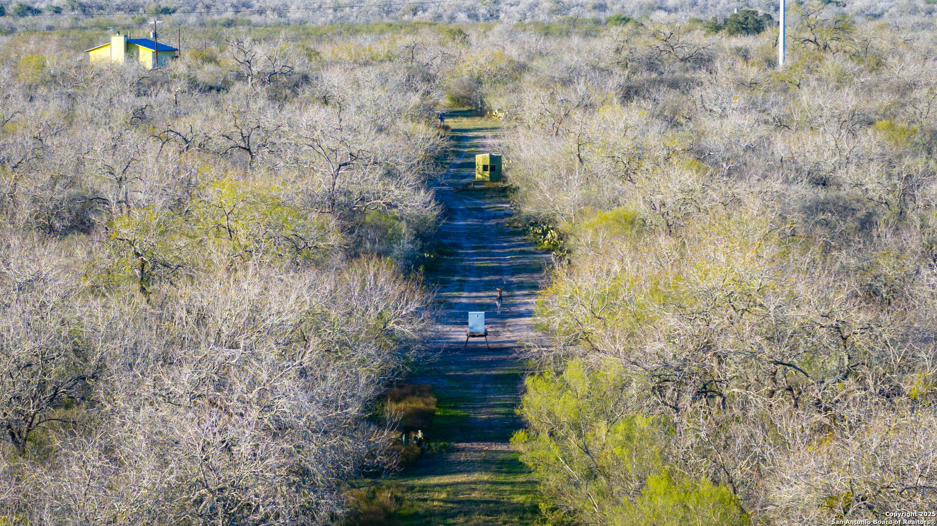 Karnes County | 175+/- Acres