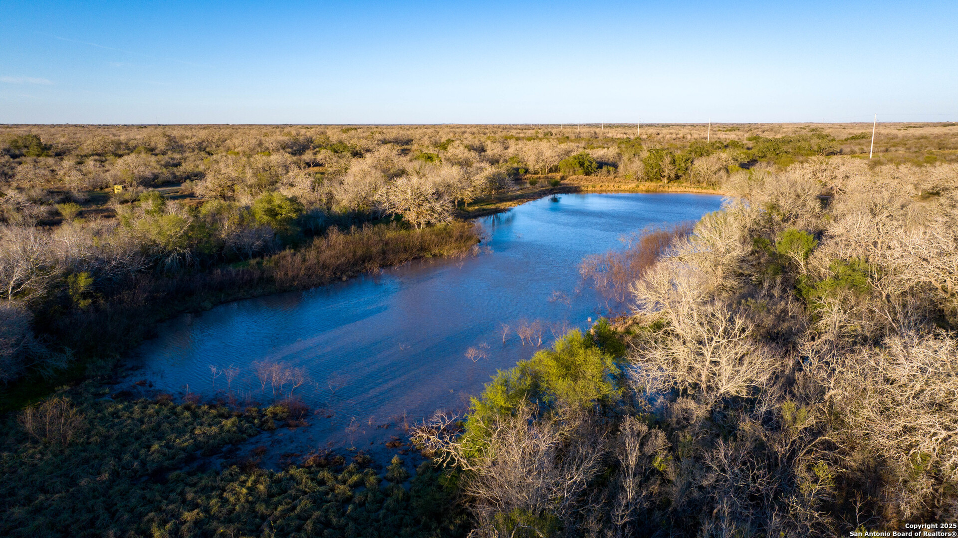 Karnes County | 175+/- Acres