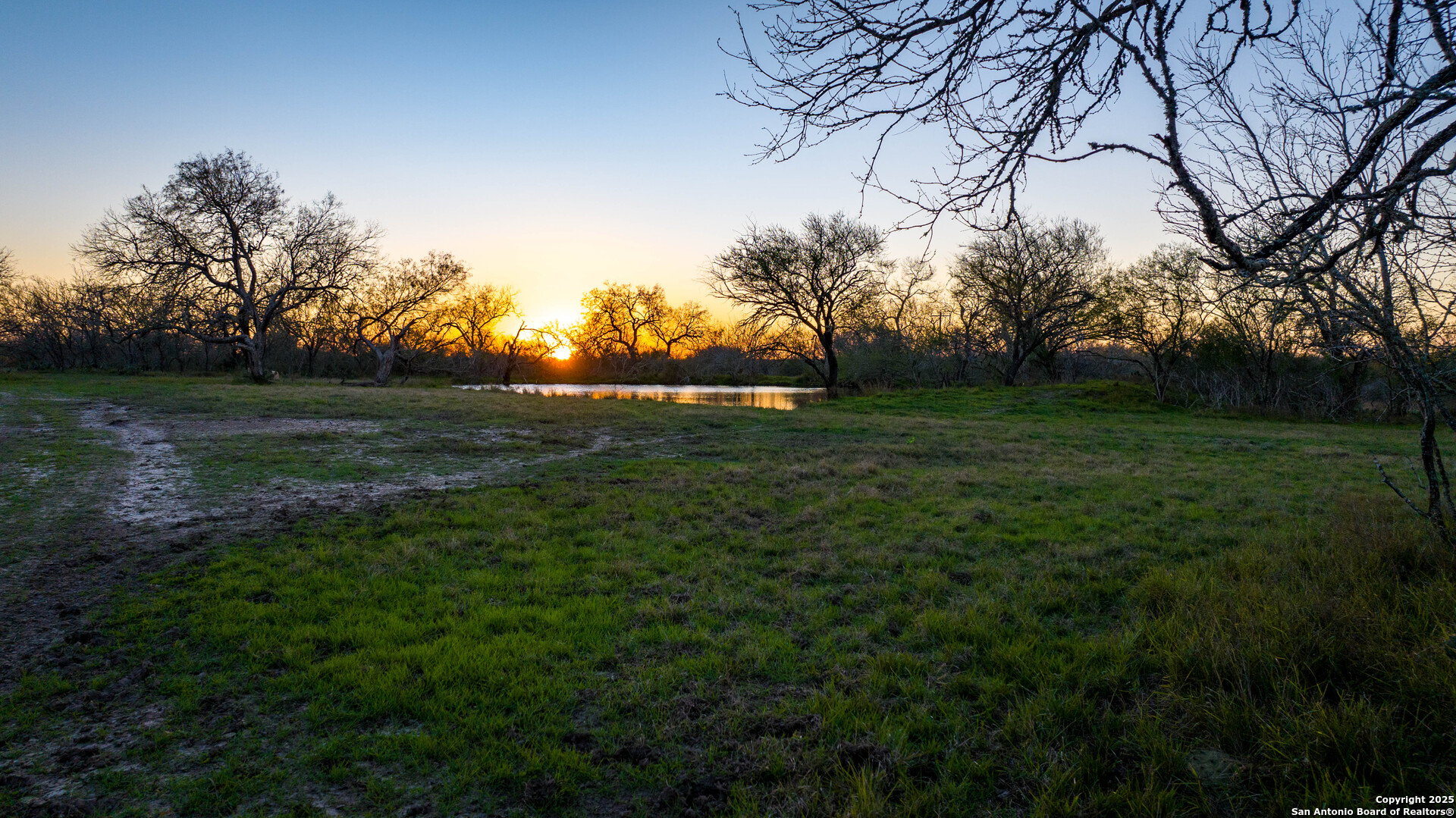 Karnes County | 175+/- Acres