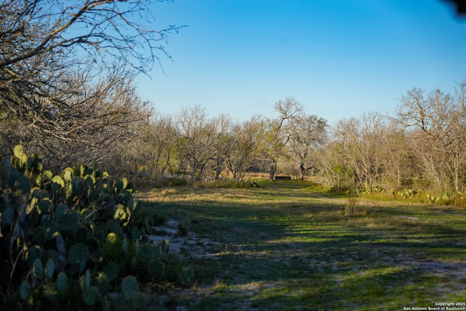 Karnes County | 175+/- Acres