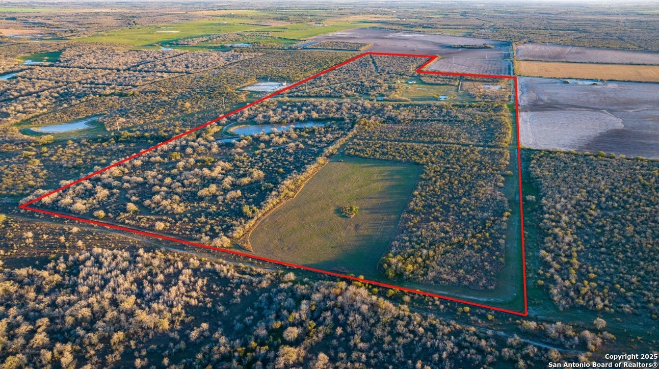 Karnes County | 175+/- Acres
