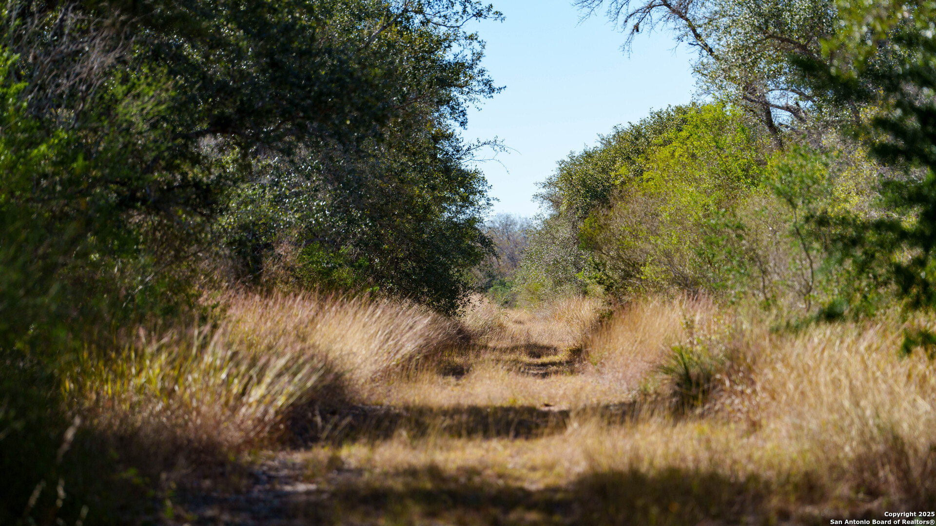 000 County Road 405