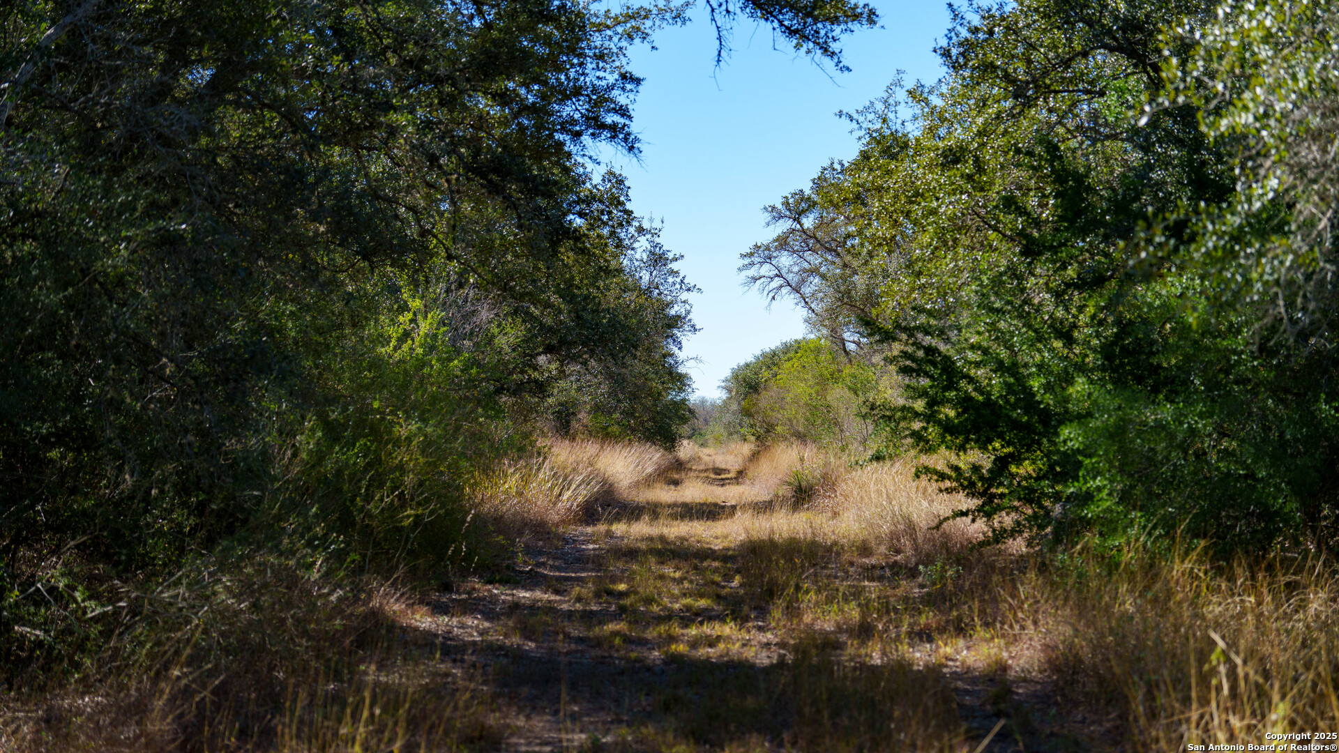 000 County Road 405