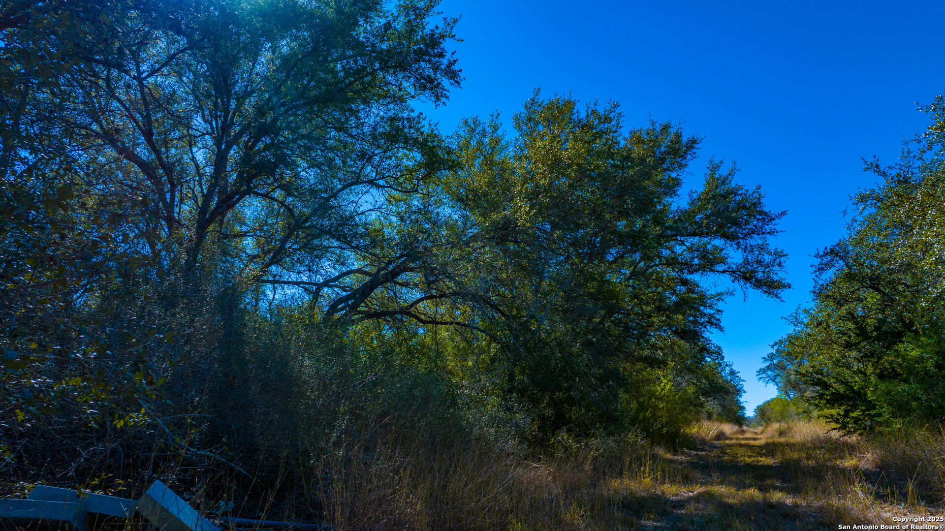 000 County Road 405