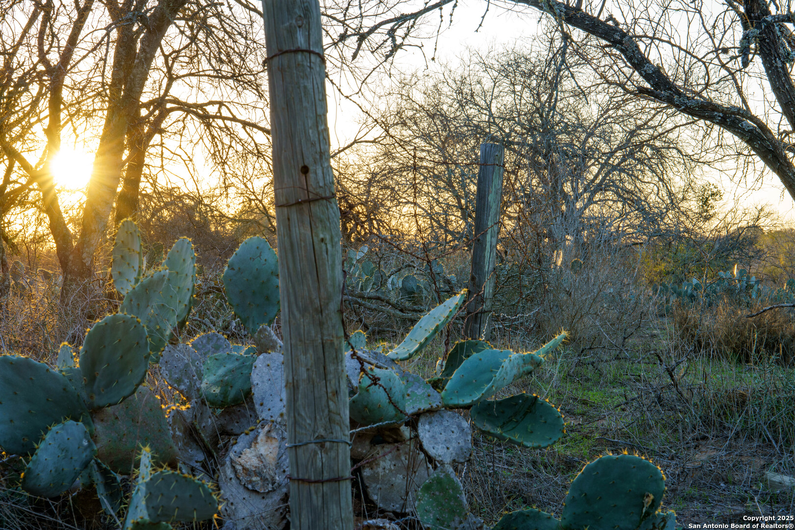 Atascosa County | 10.65+/- Acres