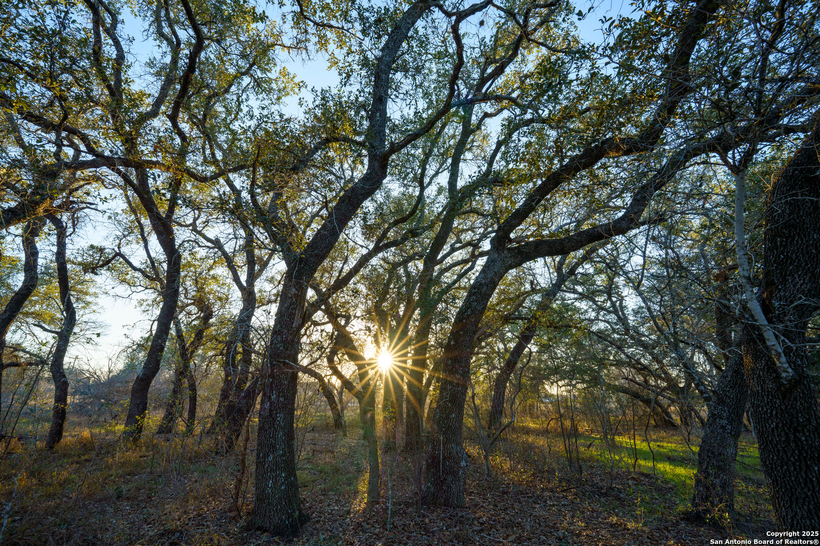 Atascosa County | 10.65+/- Acres