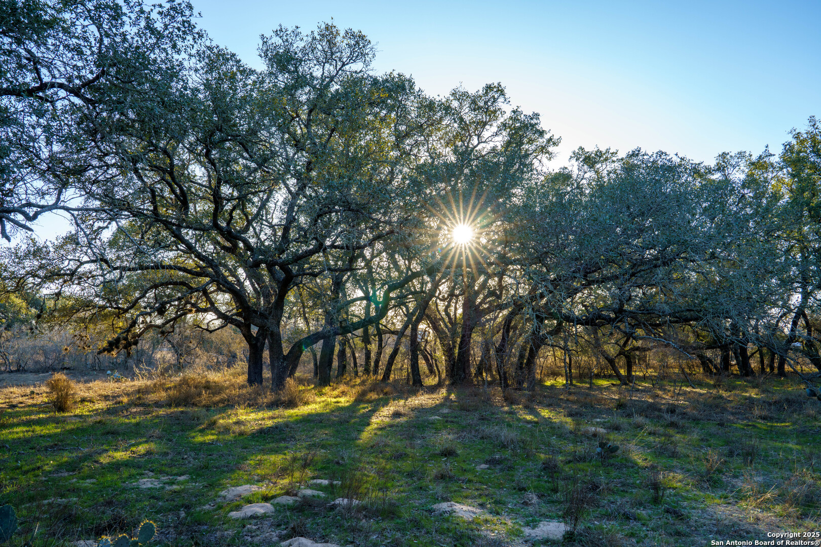 Atascosa County | 10.65+/- Acres