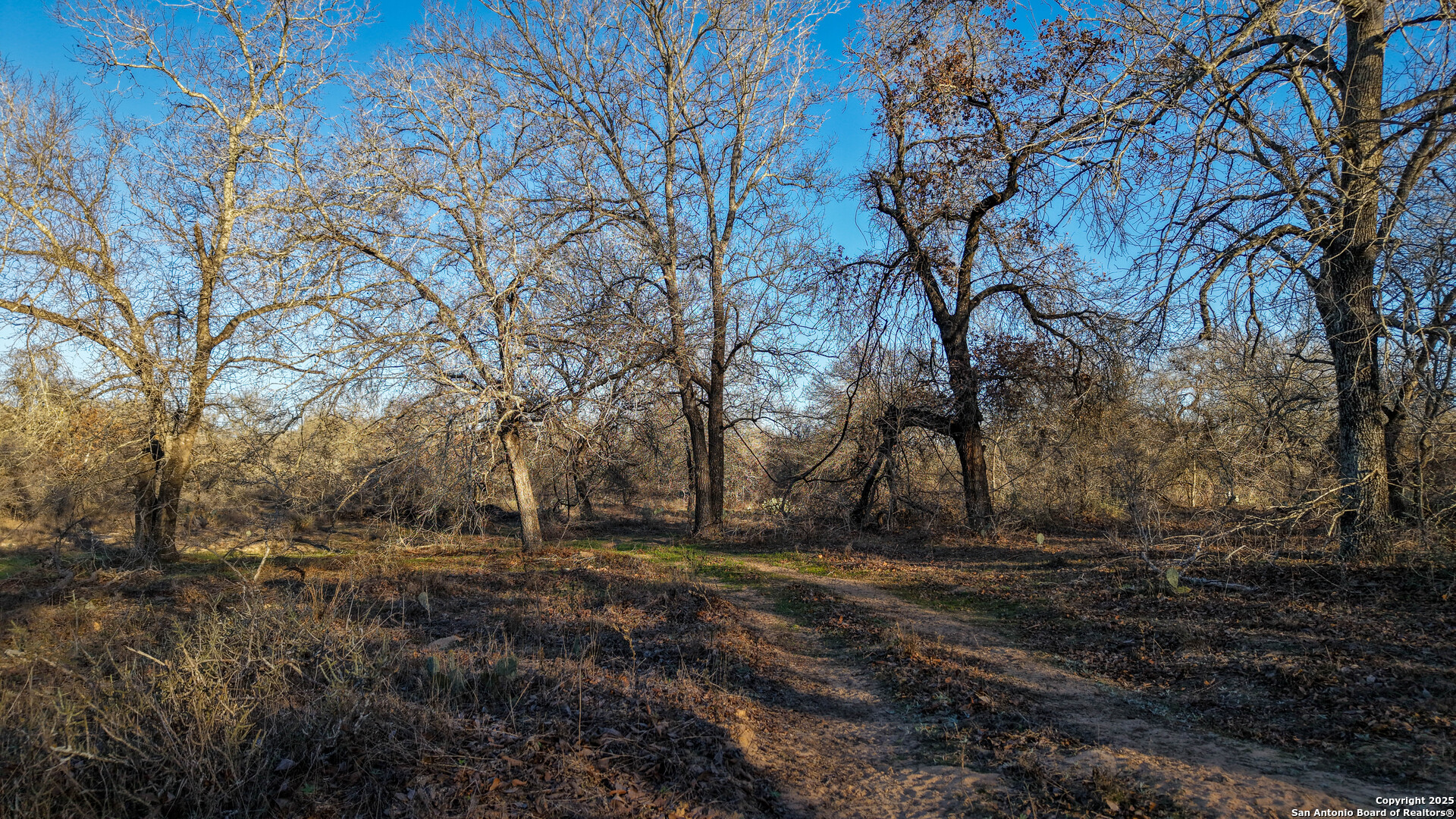 Atascosa County | 10.65+/- Acres