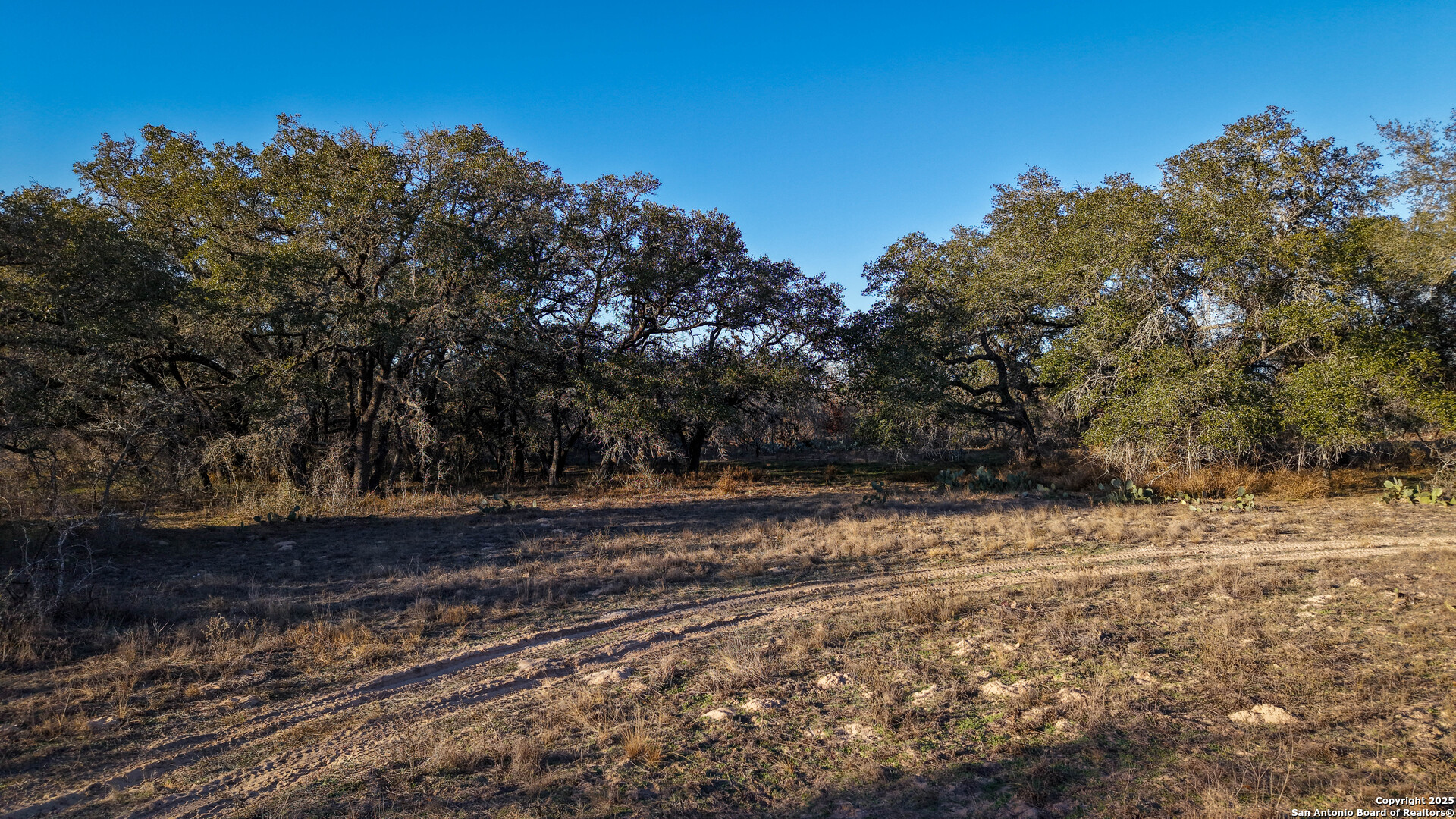 Atascosa County | 10.65+/- Acres