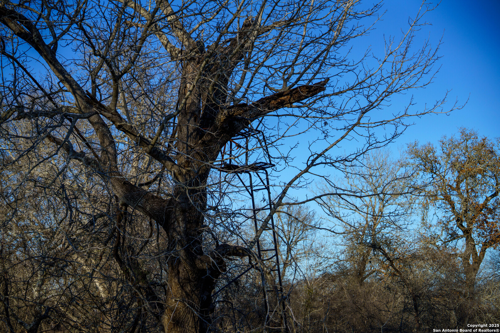 Atascosa County | 10.65+/- Acres