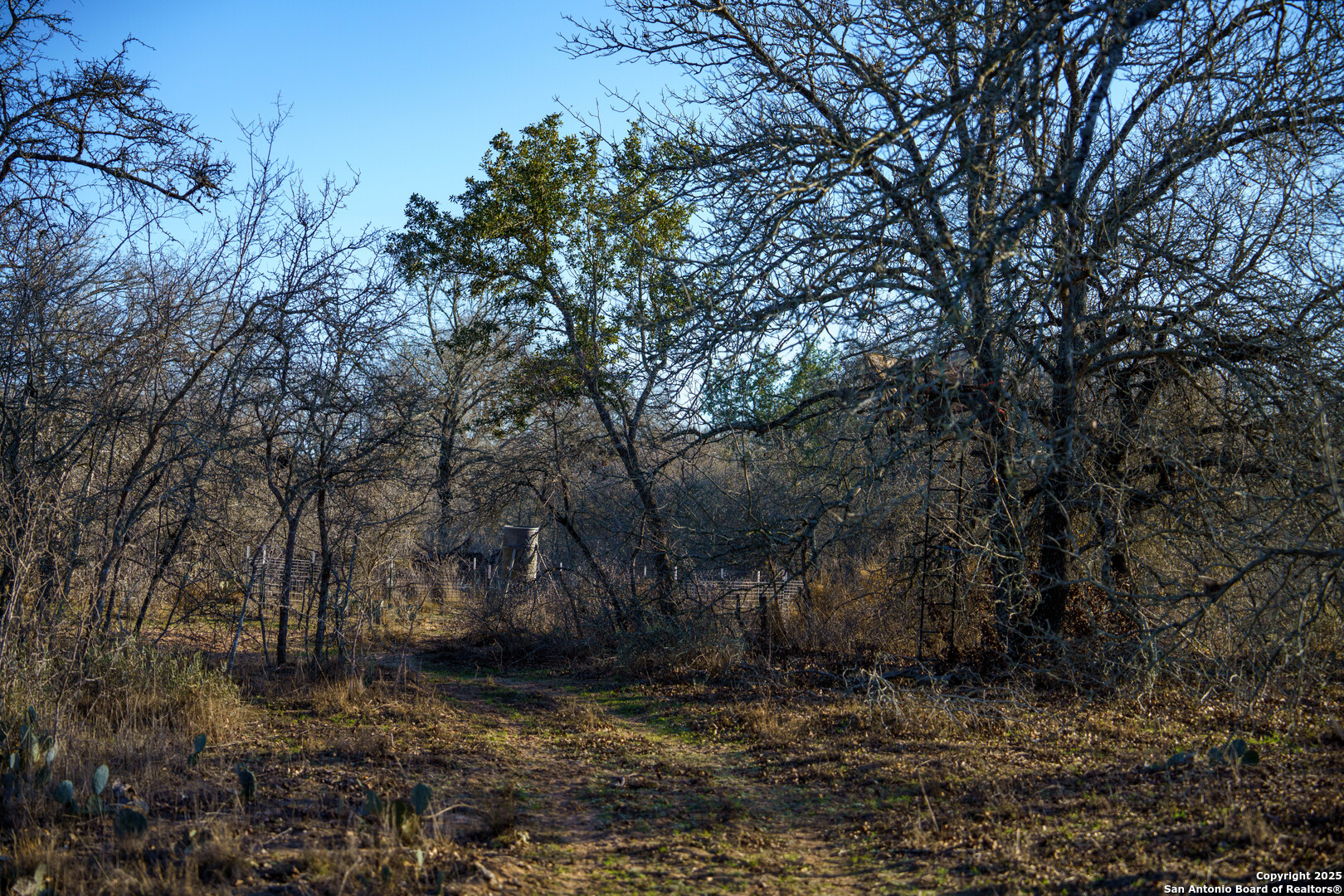 Atascosa County | 10.65+/- Acres