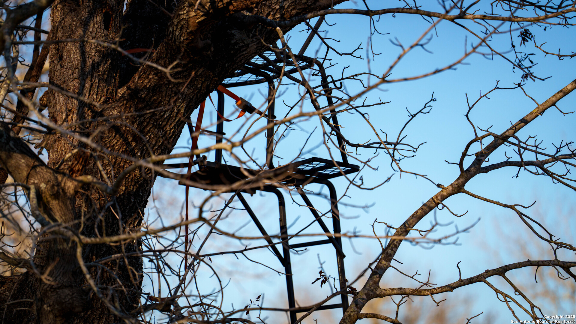 Atascosa County | 10.65+/- Acres