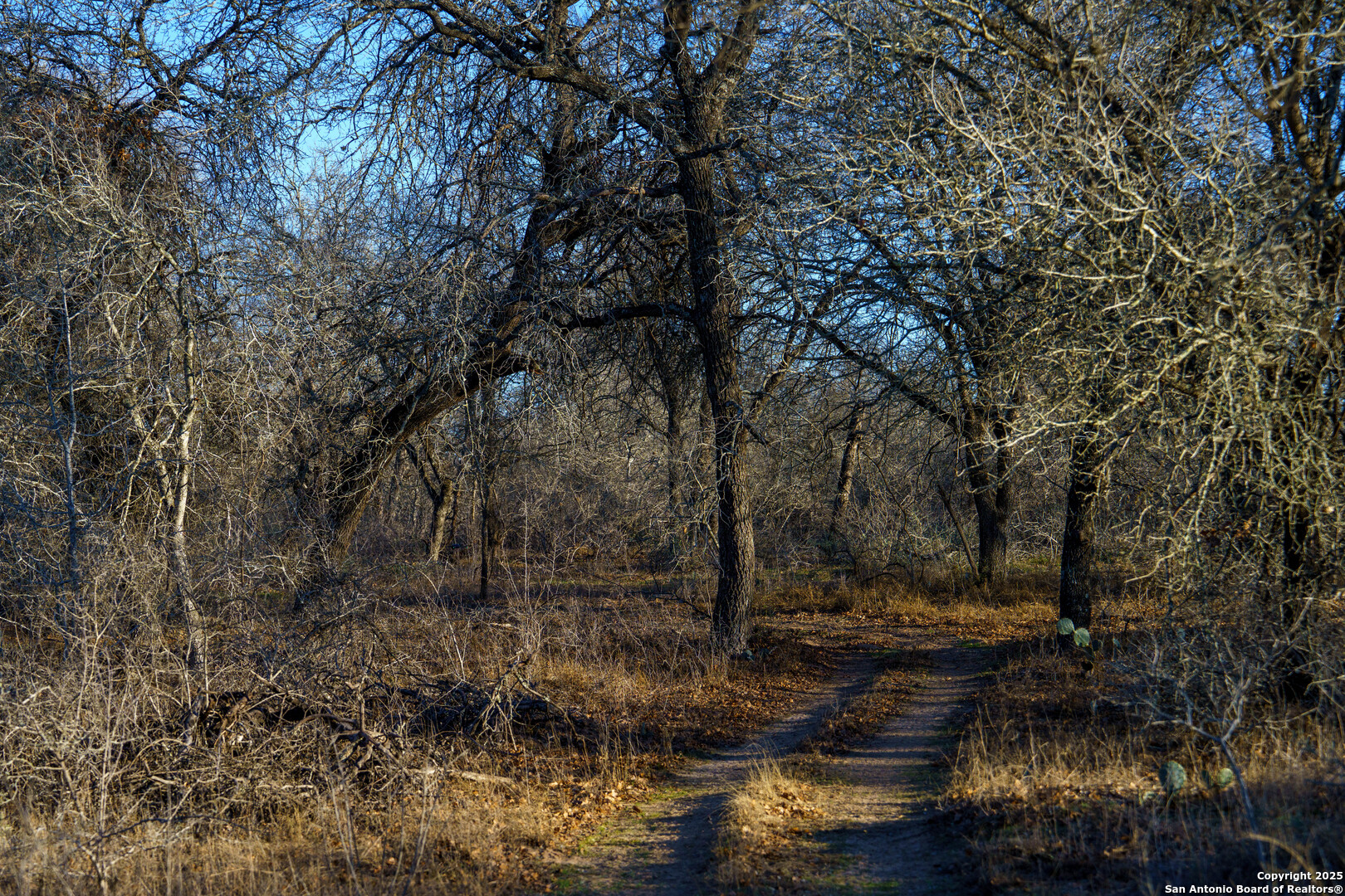 Atascosa County | 10.65+/- Acres