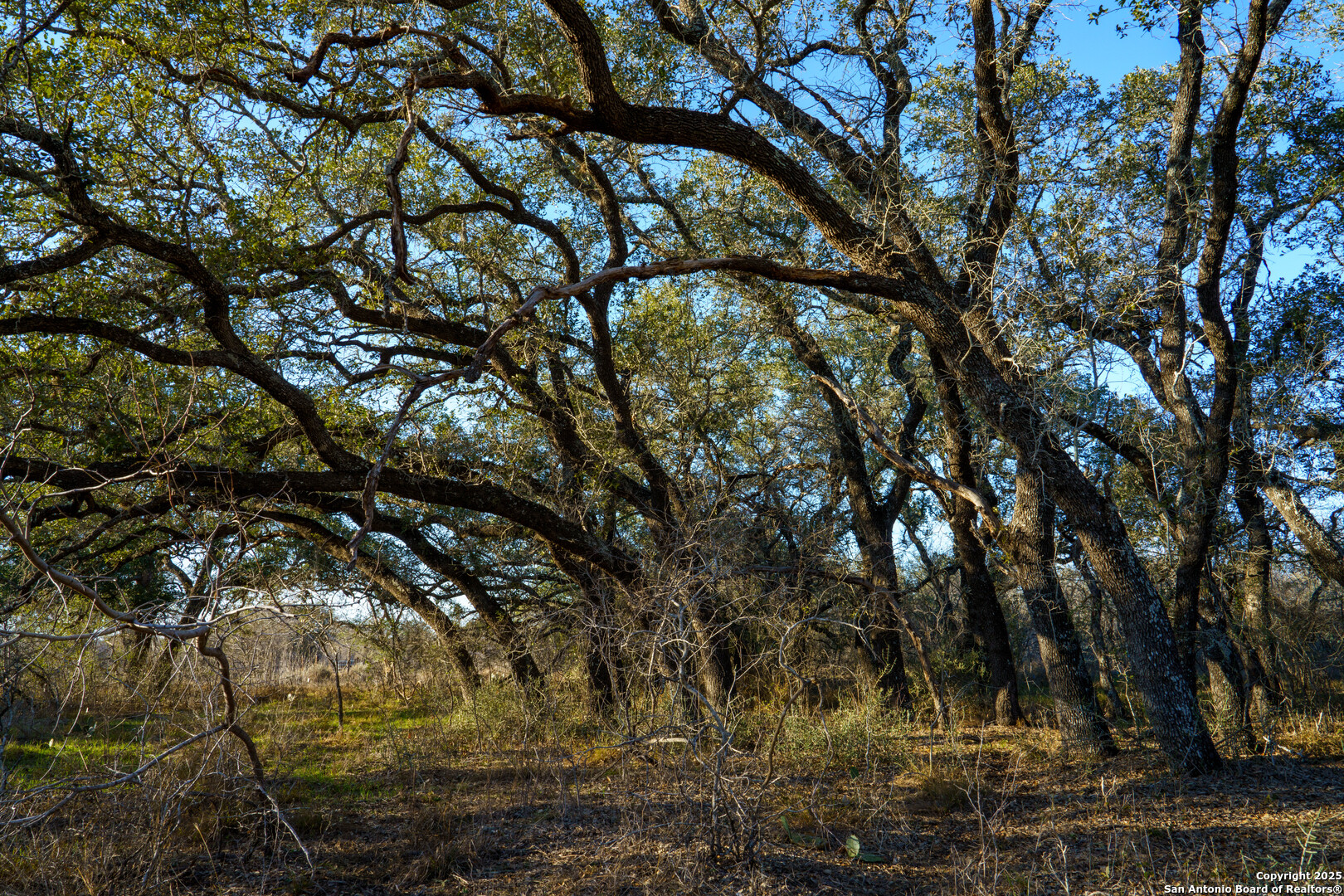 Atascosa County | 10.65+/- Acres