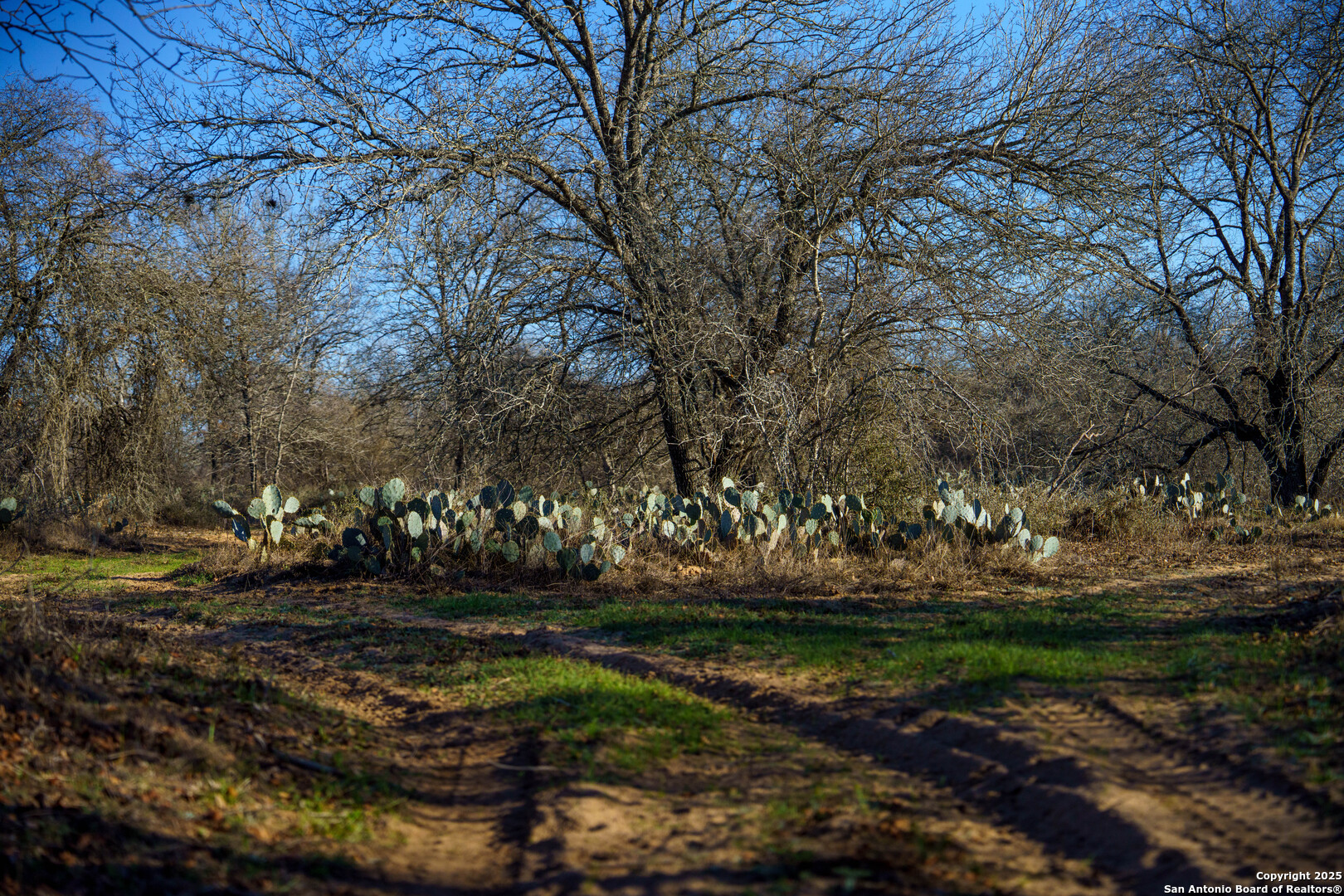 Atascosa County | 10.65+/- Acres