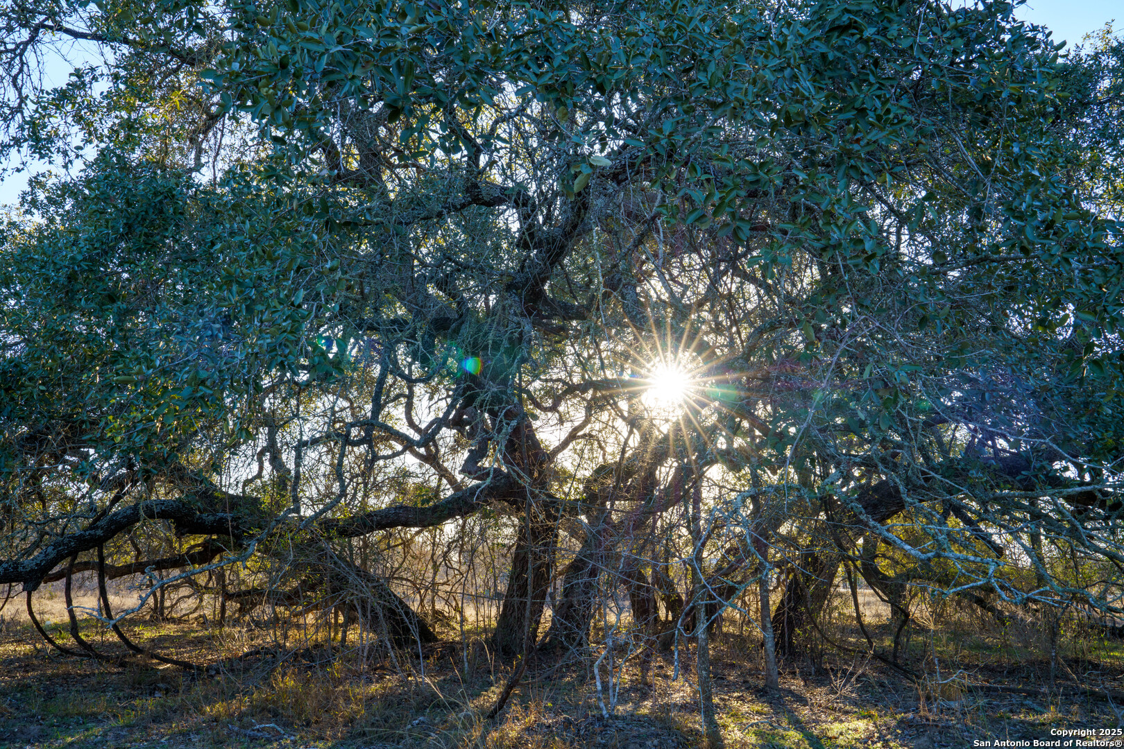 Atascosa County | 10.65+/- Acres