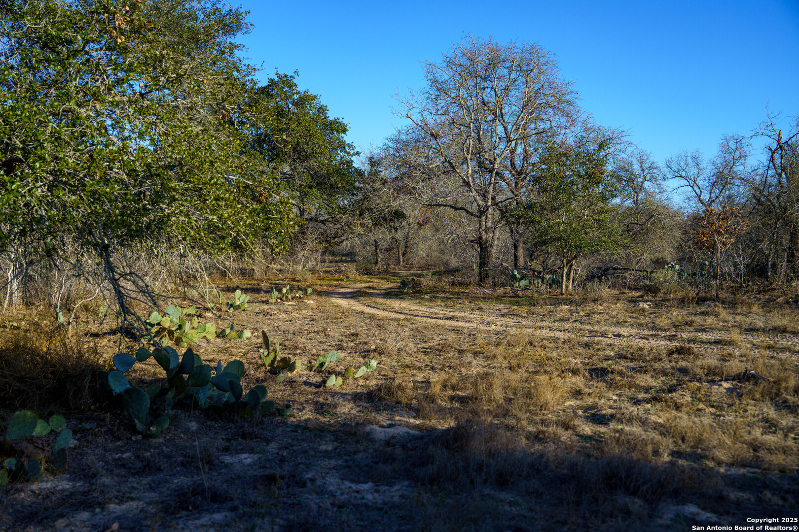 Atascosa County | 10.65+/- Acres