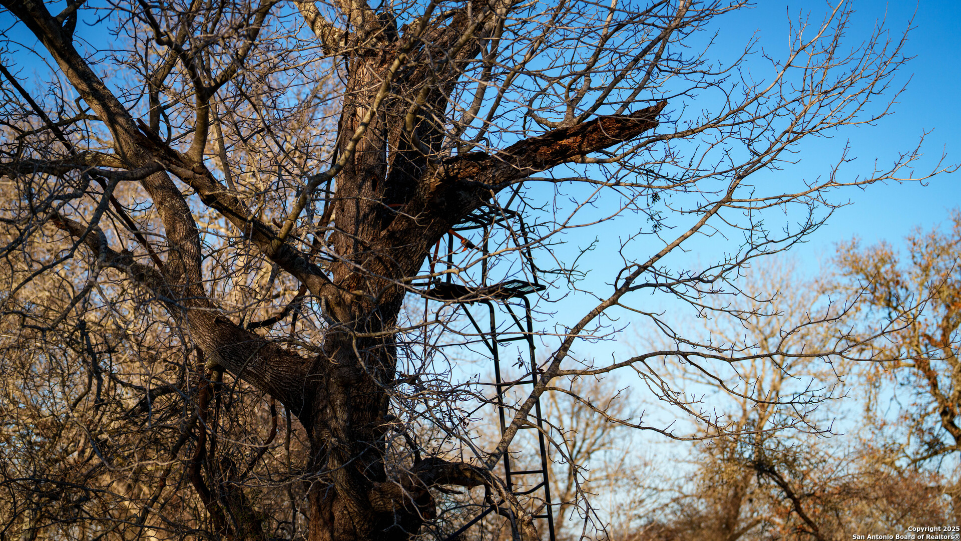 Atascosa County | 10.65+/- Acres