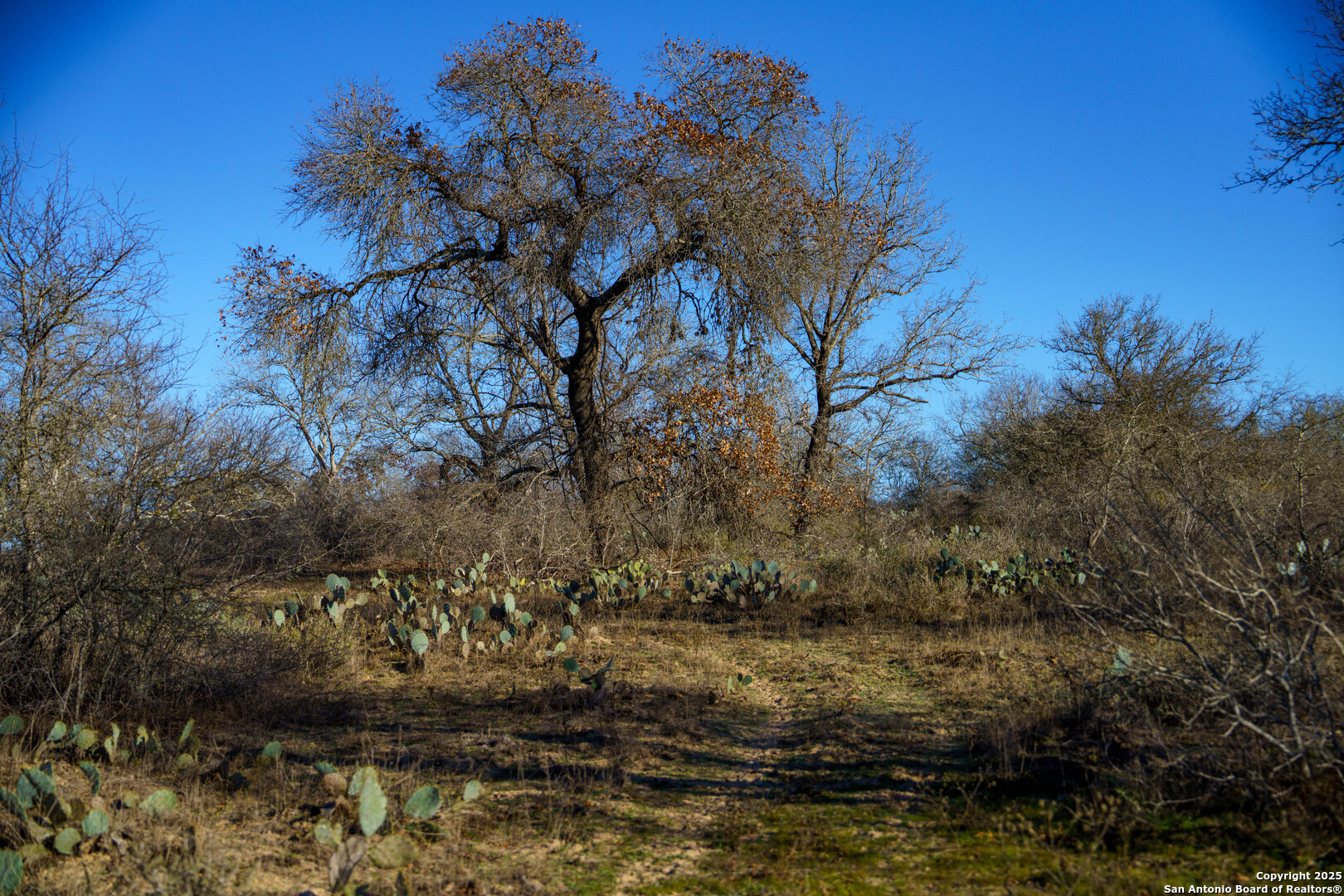 Atascosa County | 10.65+/- Acres