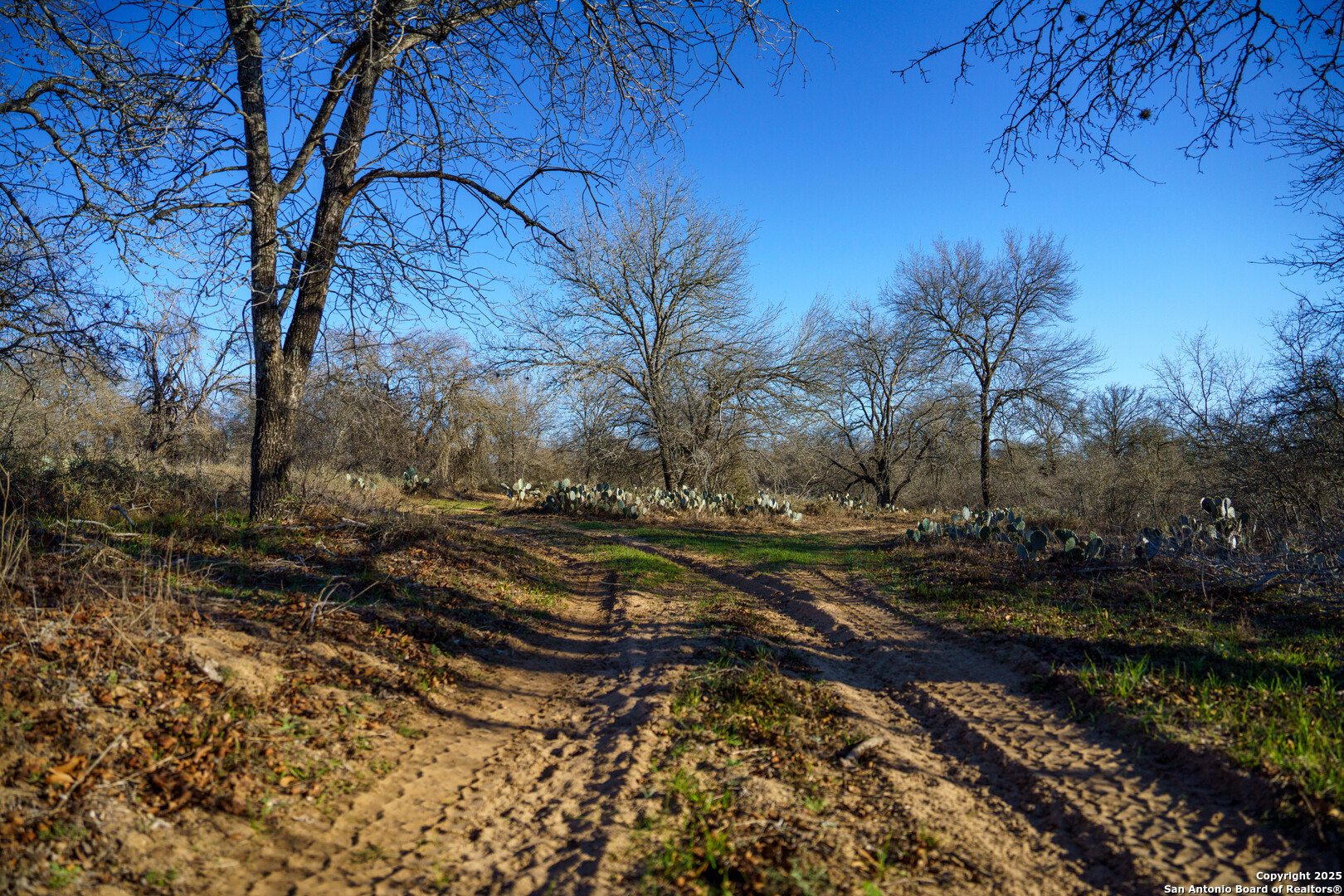 Atascosa County | 10.65+/- Acres