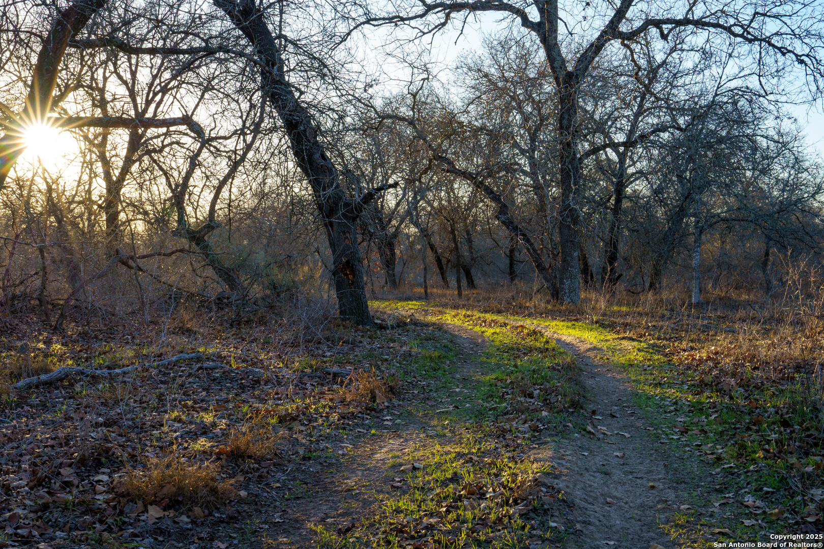 Atascosa County | 10.65+/- Acres