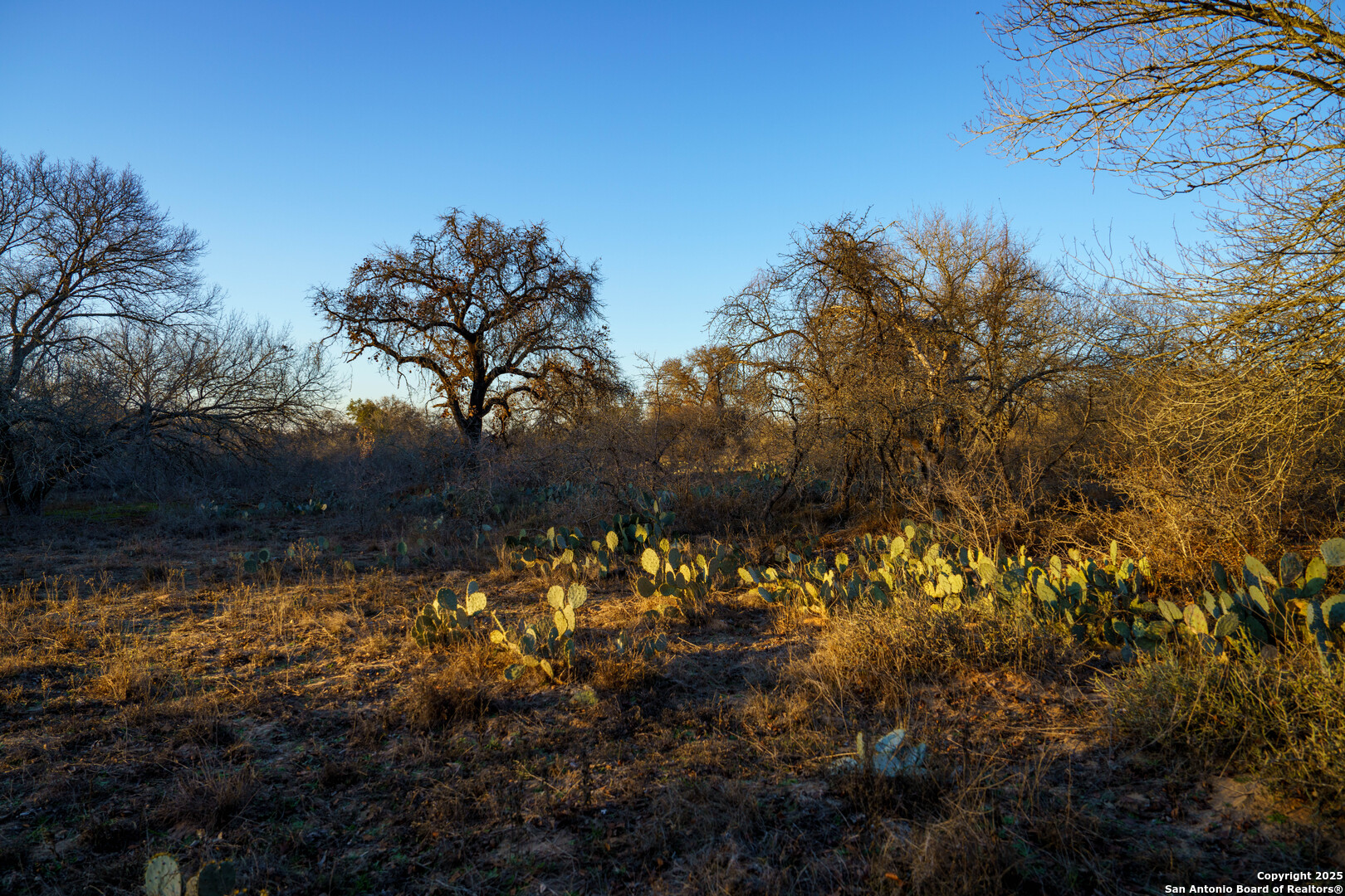 Atascosa County | 10.65+/- Acres