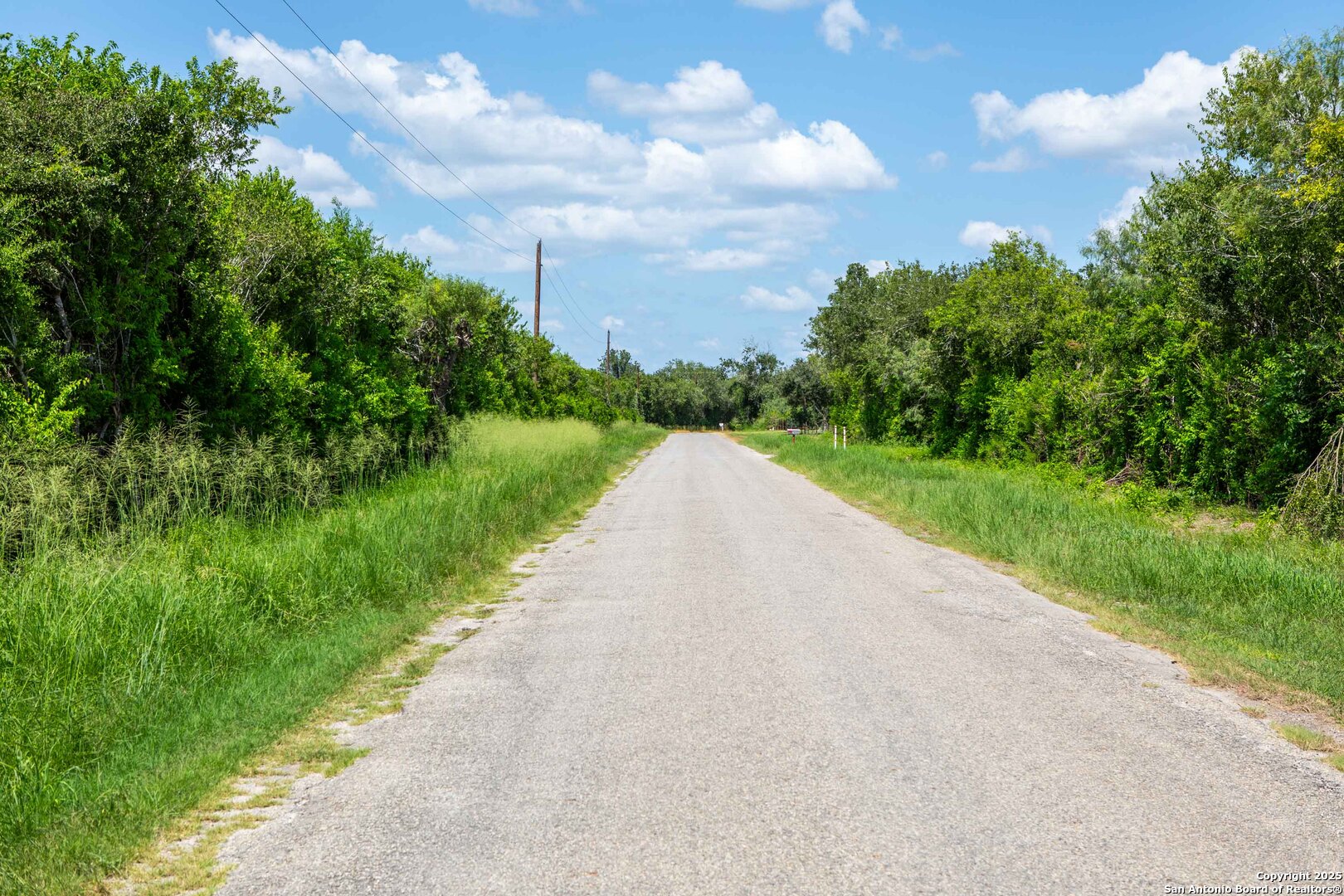 Bee County | 10.89 Acres