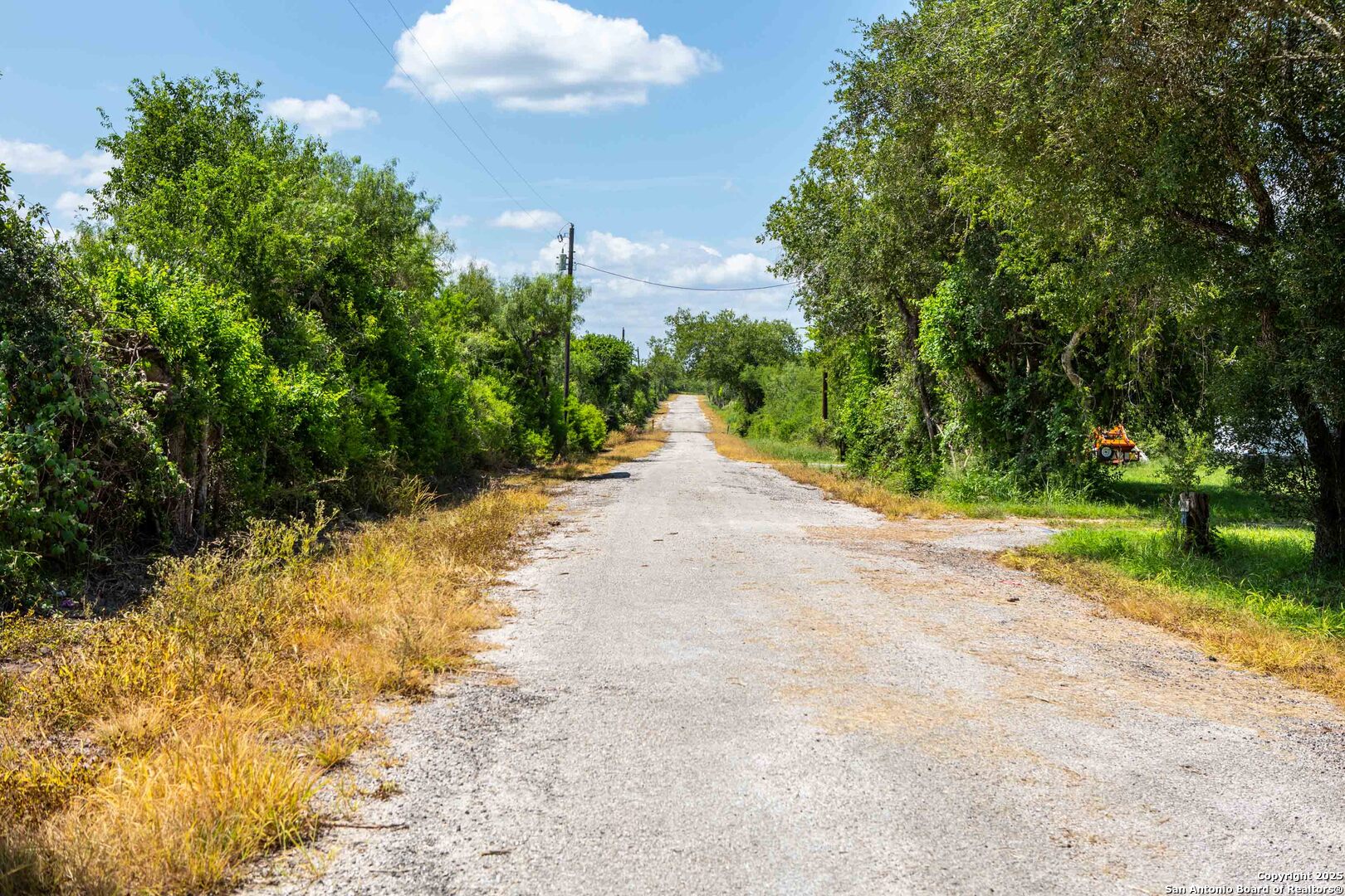 Bee County | 10.89 Acres