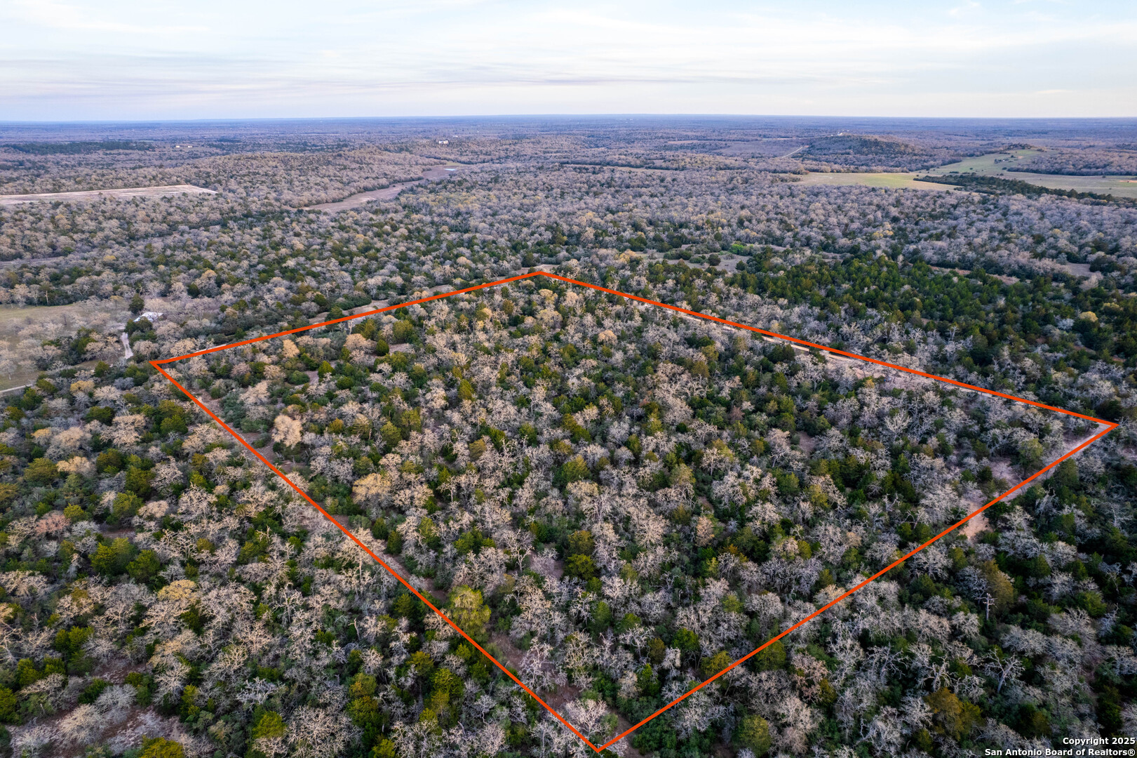 Caldwell County | 20+/- Acres