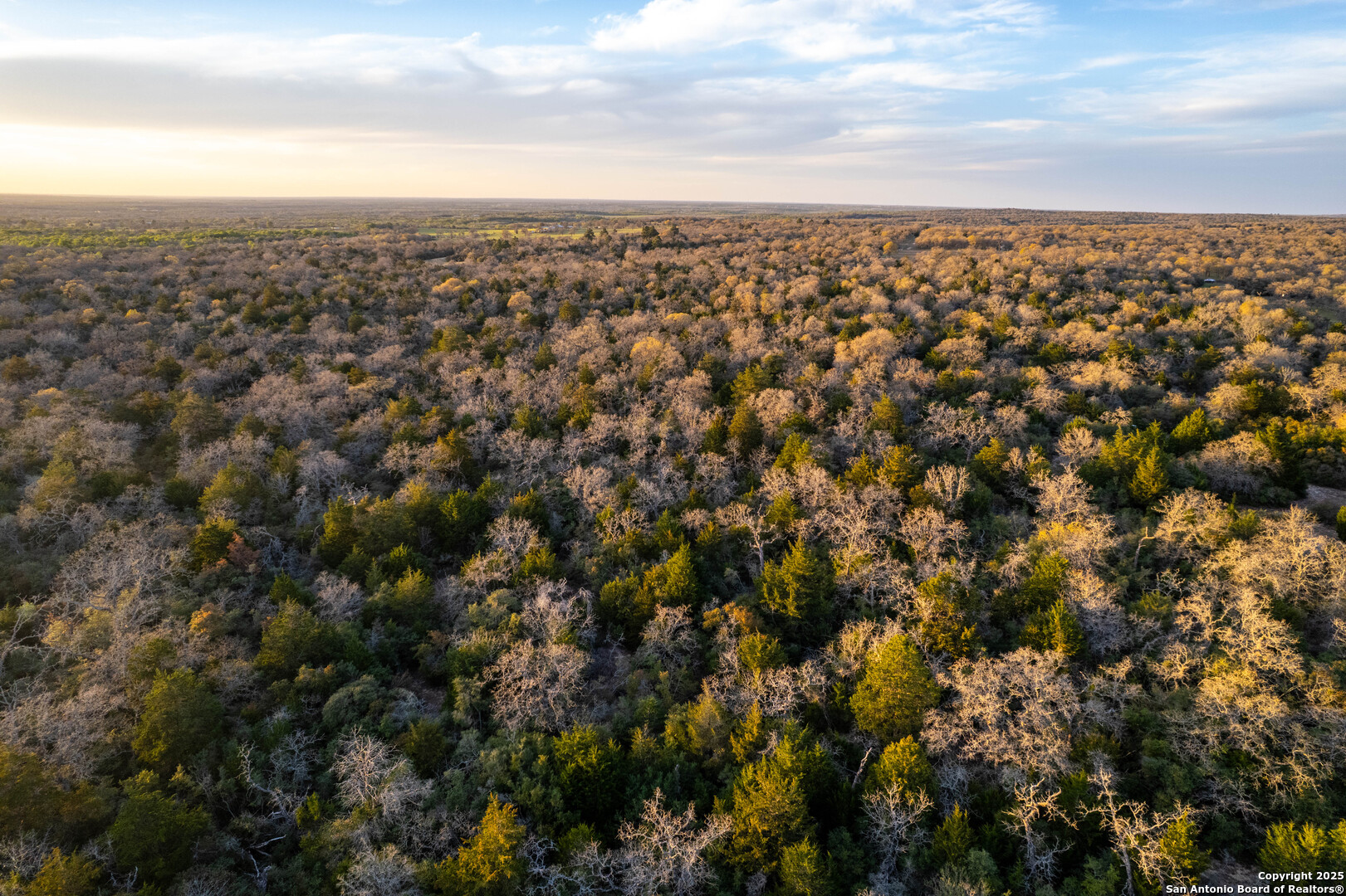 Caldwell County | 20+/- Acres