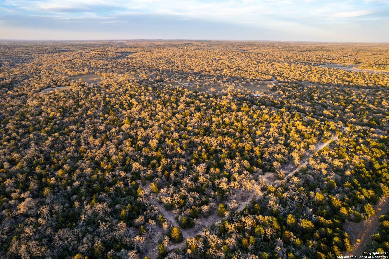 Caldwell County | 20+/- Acres