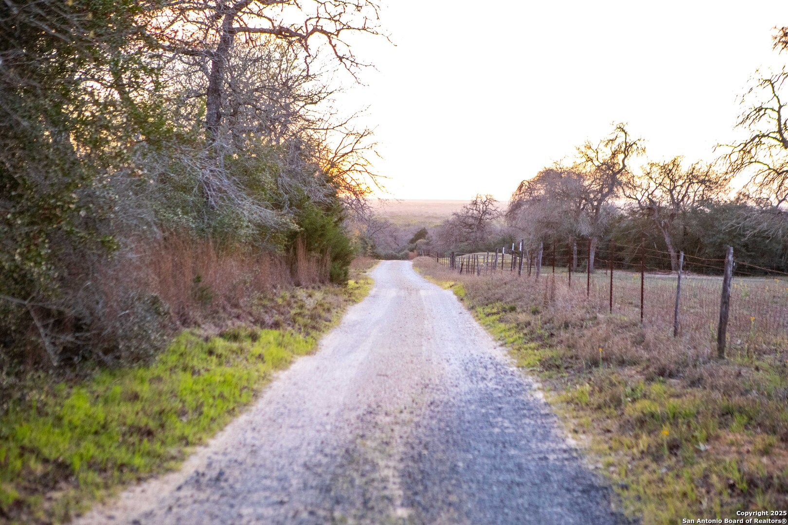Caldwell County | 20+/- Acres
