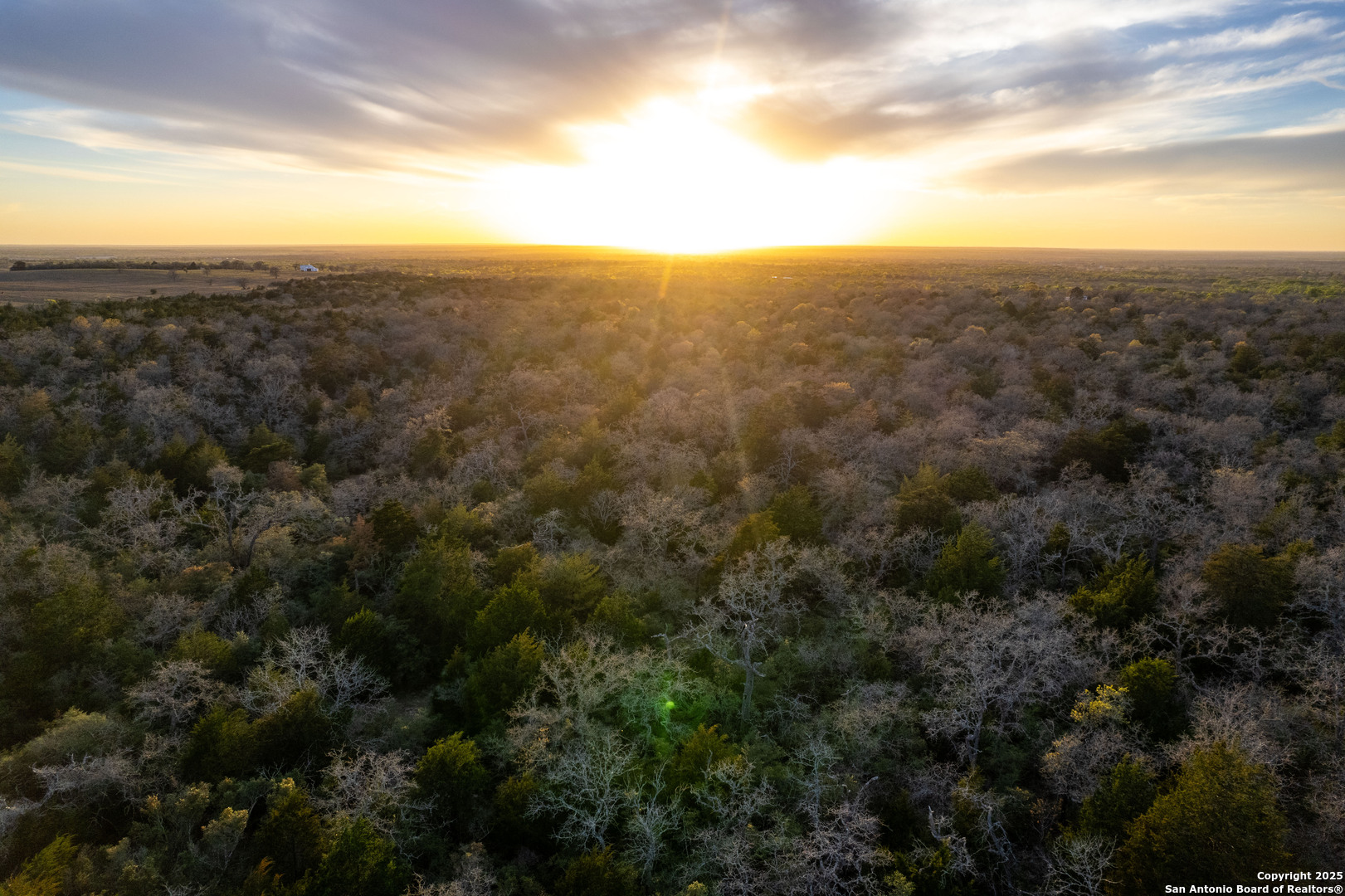 Caldwell County | 20+/- Acres