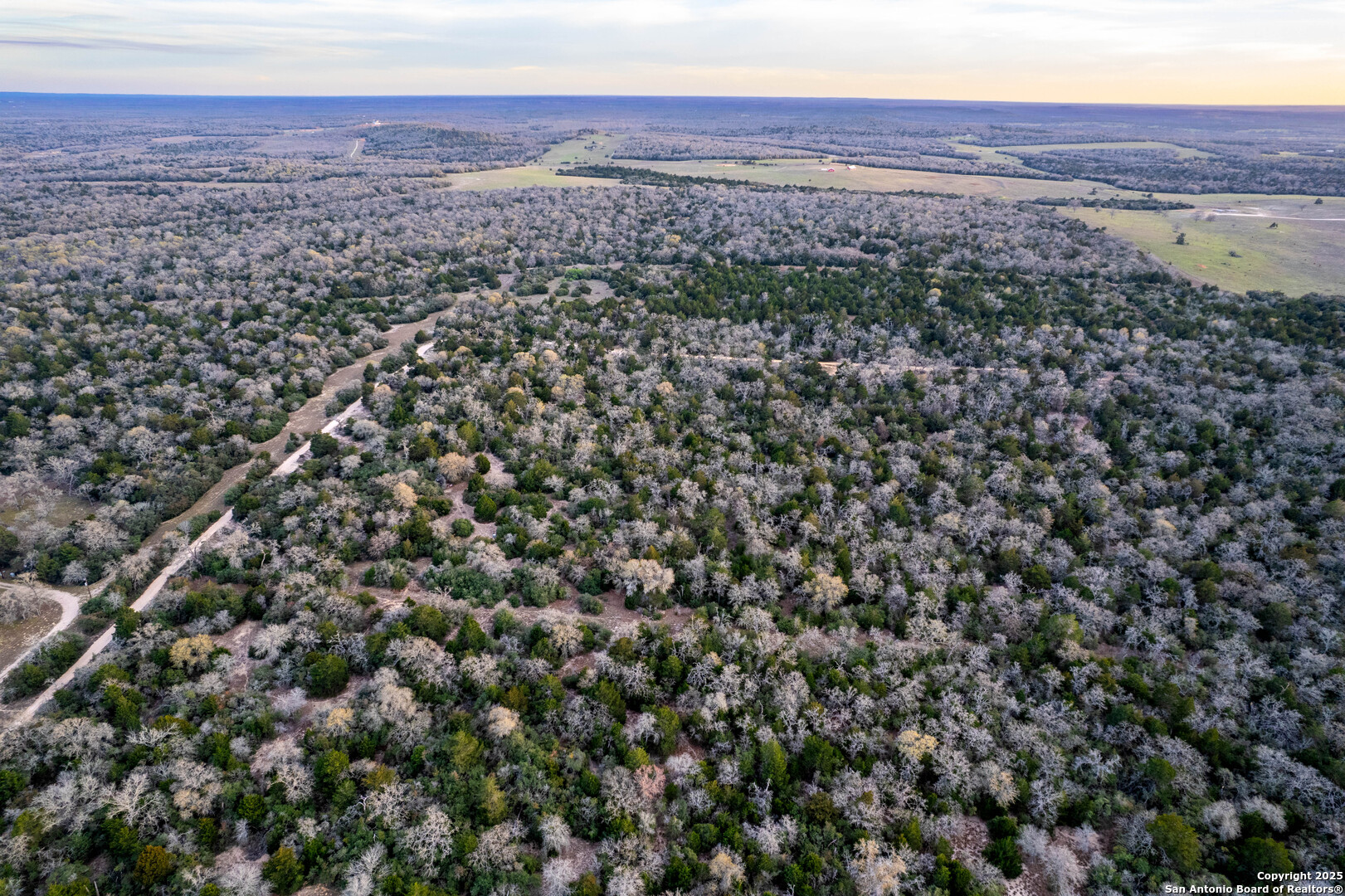 Caldwell County | 20+/- Acres