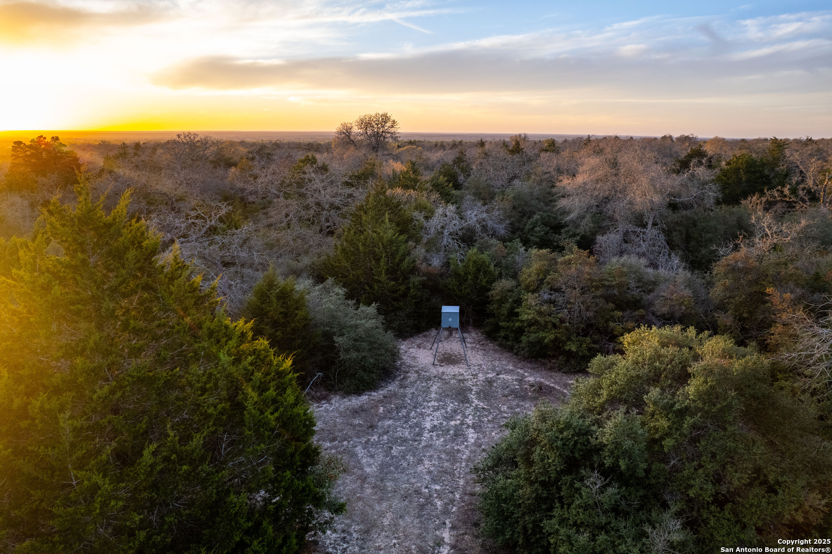 Caldwell County | 20+/- Acres