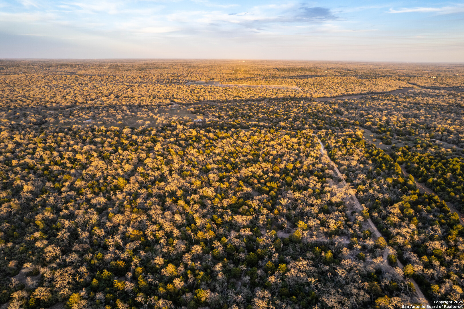 Caldwell County | 20+/- Acres