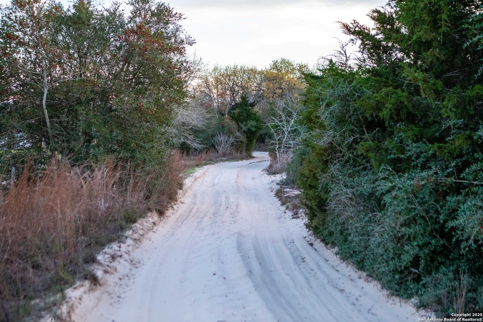 Caldwell County | 20+/- Acres