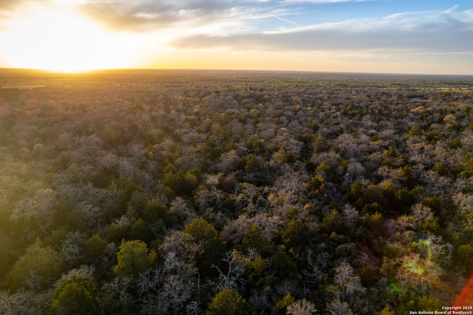 Caldwell County | 20+/- Acres