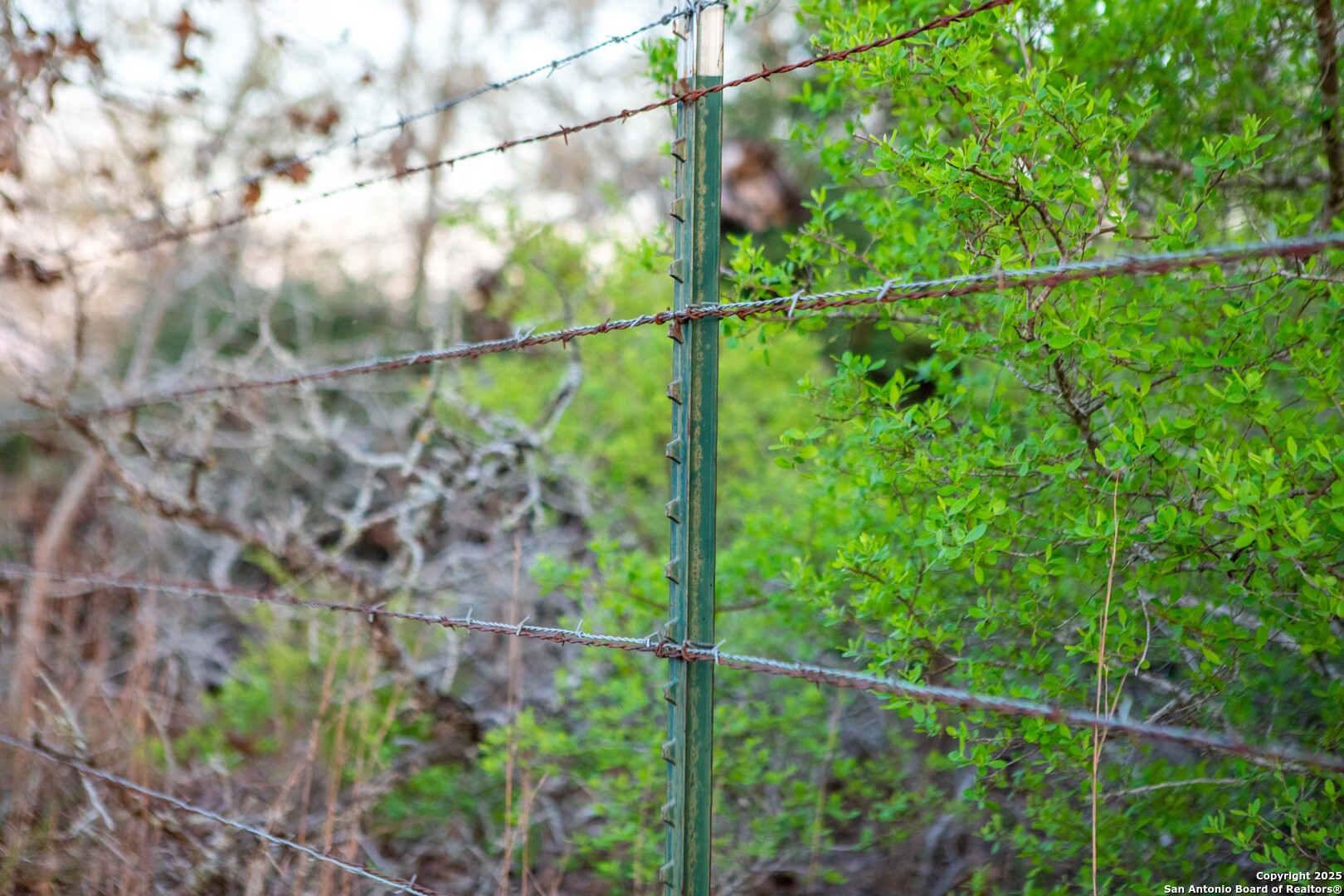 Caldwell County | 20+/- Acres