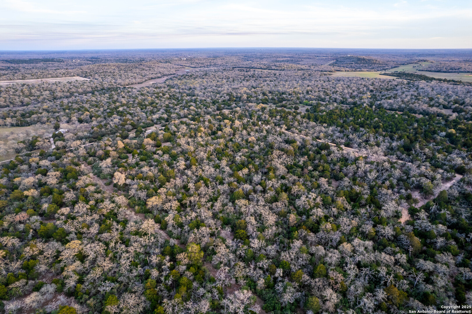 Caldwell County | 20+/- Acres