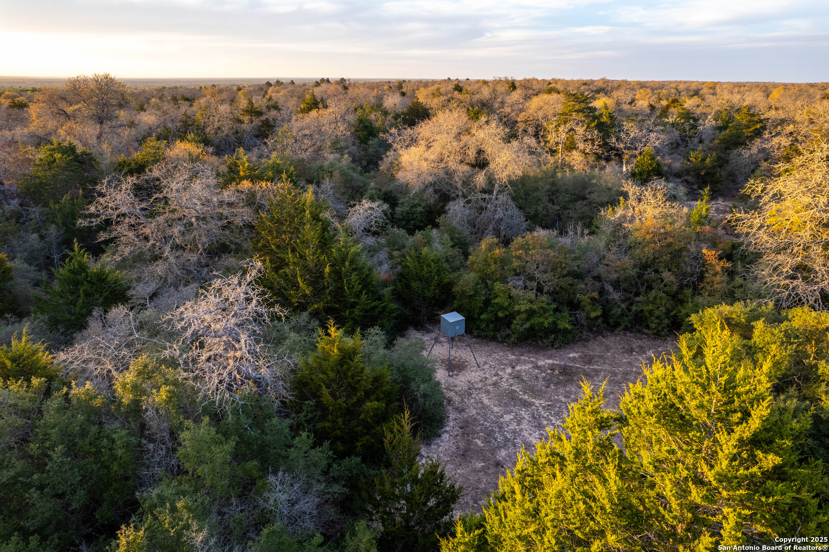 Caldwell County | 20+/- Acres