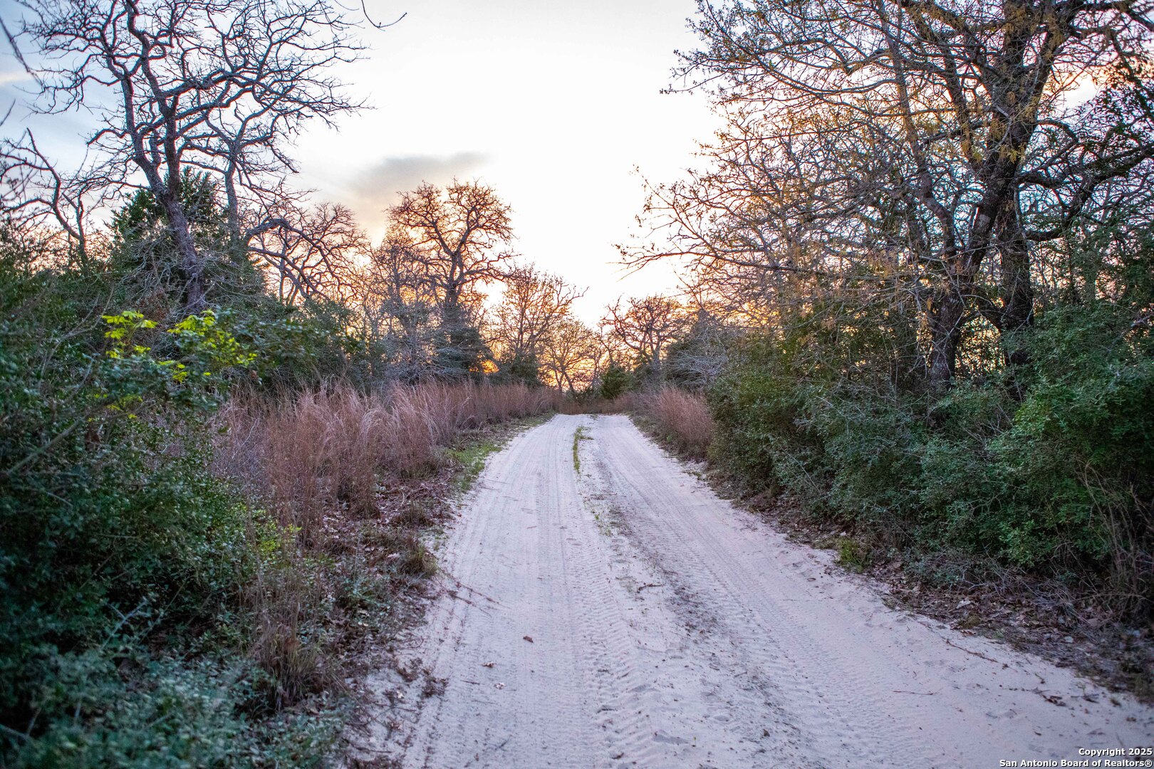 Caldwell County | 20+/- Acres