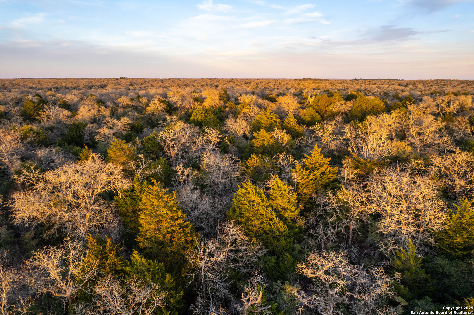 Caldwell County | 20+/- Acres
