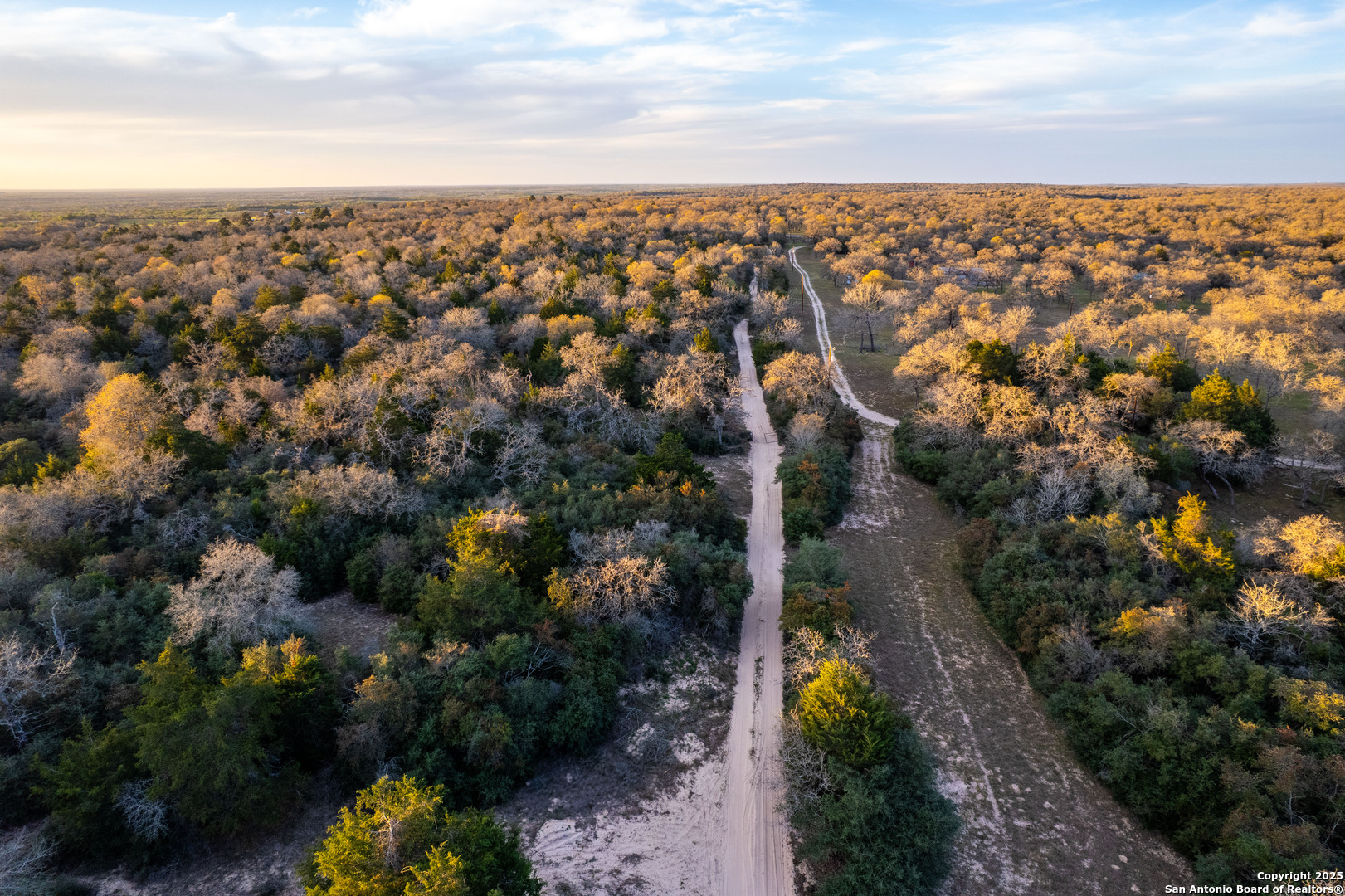 Caldwell County | 20+/- Acres