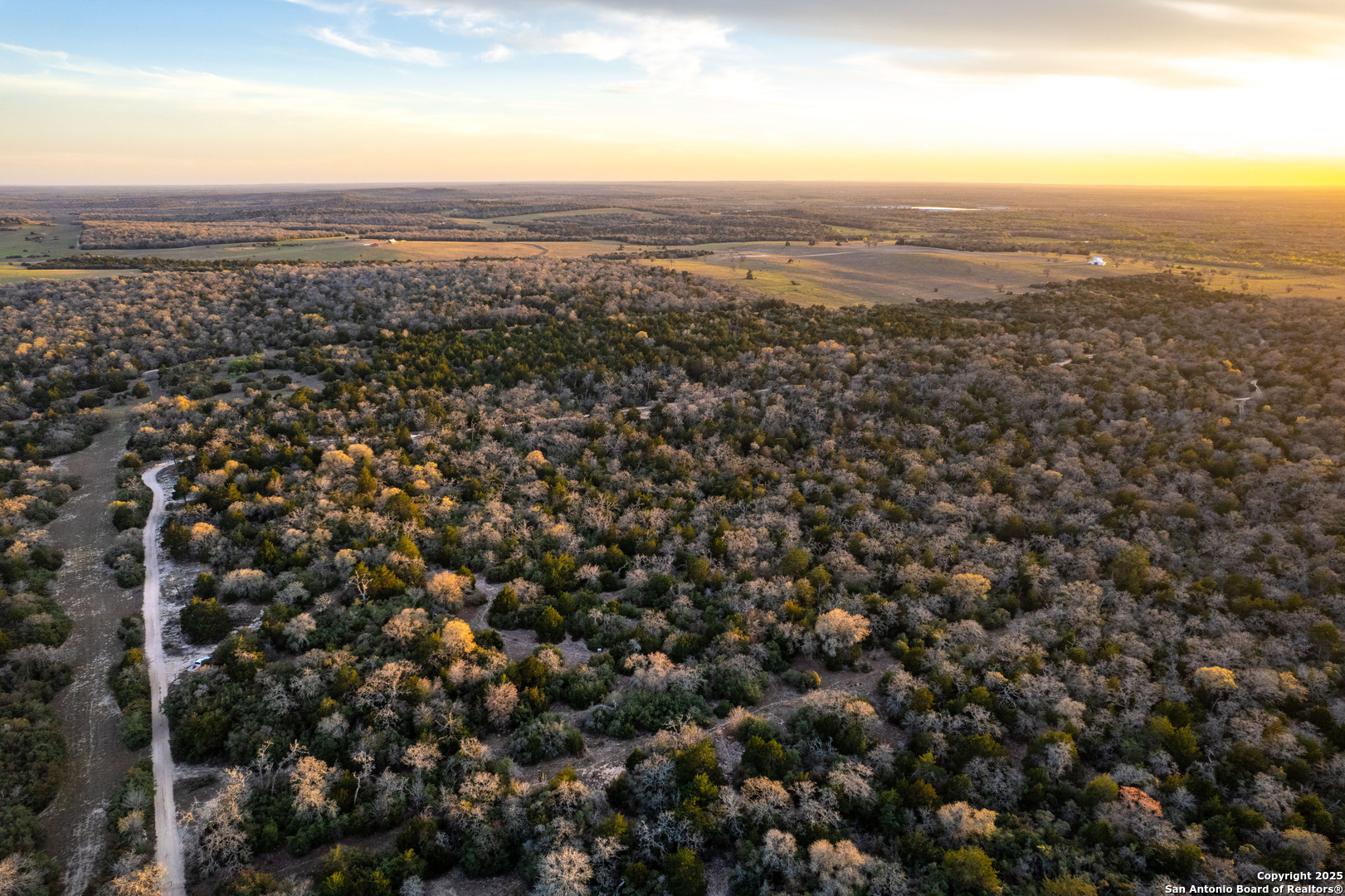 Caldwell County | 20+/- Acres