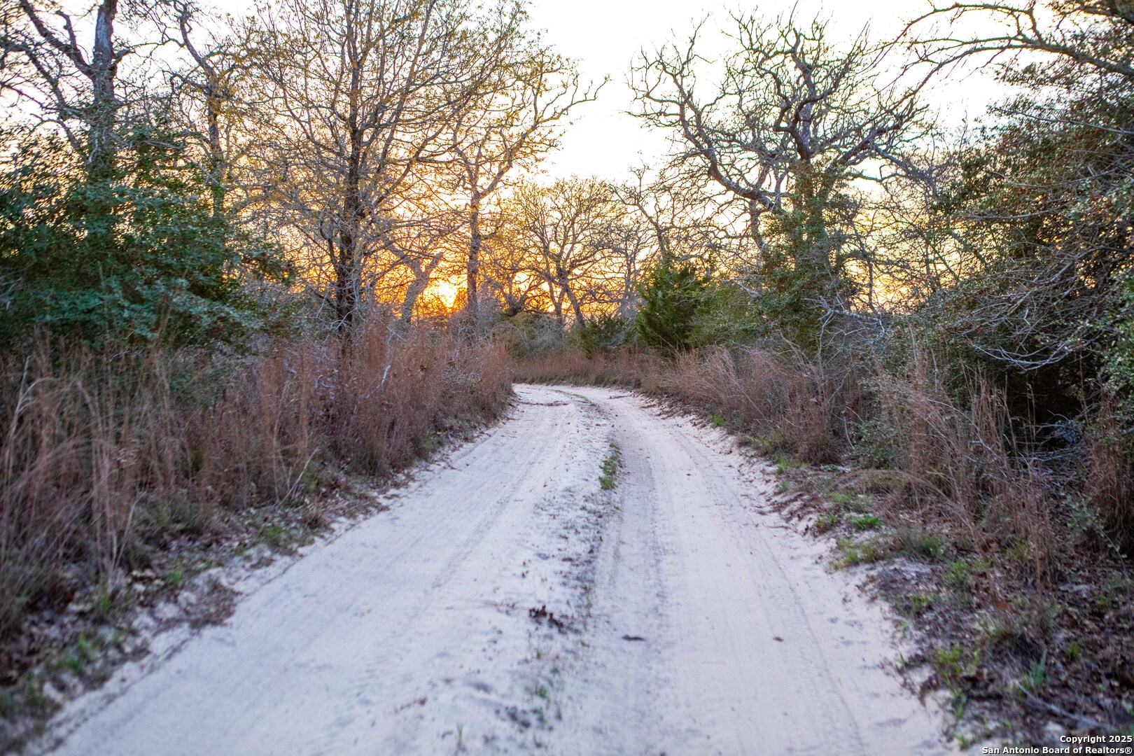 Caldwell County | 20+/- Acres