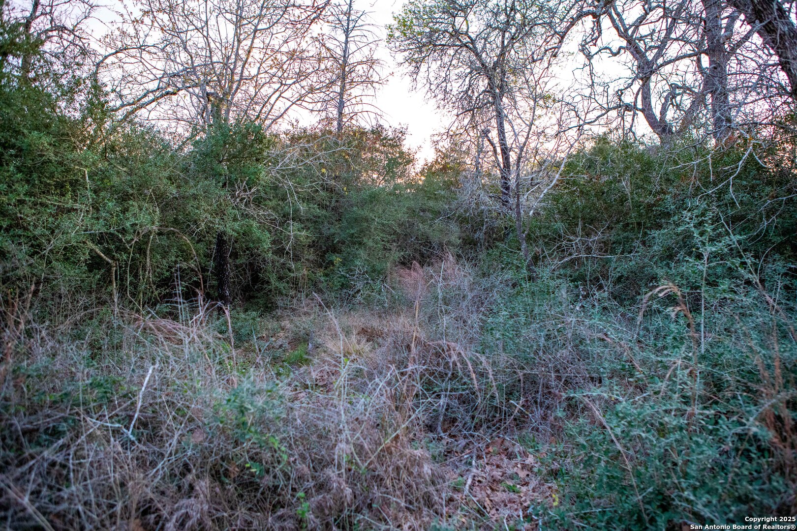 Caldwell County | 20+/- Acres