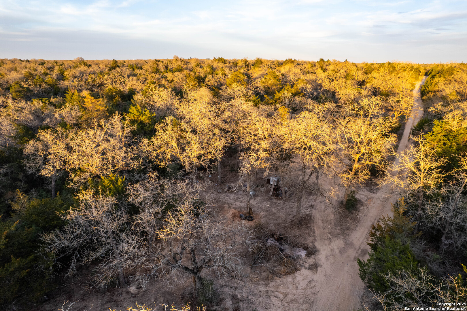 Caldwell County | 20+/- Acres